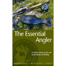 Essential Angel