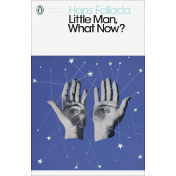 Little Man, What Now? (Уценка)