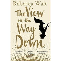 The View on the Way Down (Picador)