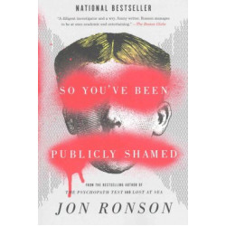 So You've Been Publicly Shamed