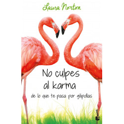 No culpes al karma de lo que te pasa por gilipollas
