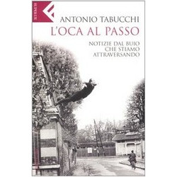 L'oca al passo