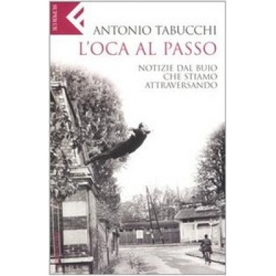 L'oca al passo