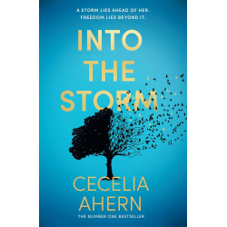 Into the Storm (Уценка)