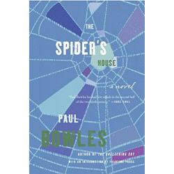 The Spider's House