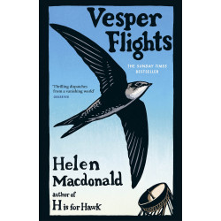 Vesper Flights