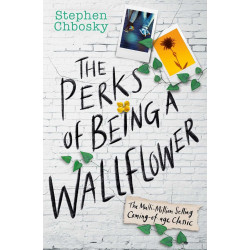 The Perks of Being a Wallflower: the most moving coming-of-age classic