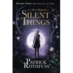 The Slow Regard of Silent Things (Уценка)
