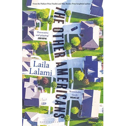 The Other Americans