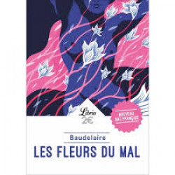 Les fleurs du mal (48)