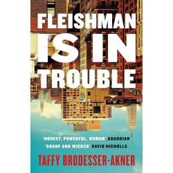 Fleishman Is in Trouble
