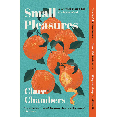 Small Pleasures: Longlisted for the Women's Prize for Fiction 2021