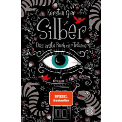 Silber: Das erste Buch der Träume