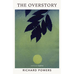 Overstory