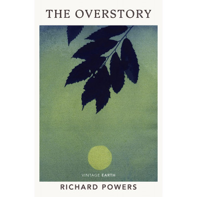 Overstory
