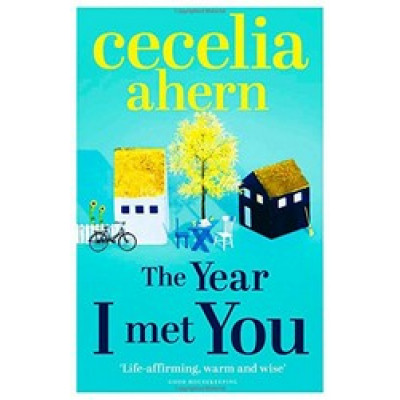 The Year I Met You (Уценка)