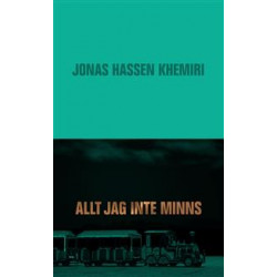 Allt jag inte minns