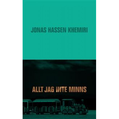 Allt jag inte minns
