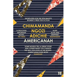 Americanah (Уценка) Americanah (Уценка)