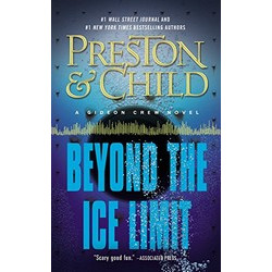 Beyond the Ice Limit