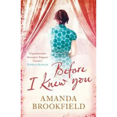 Before I Knew You