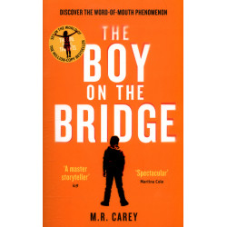 Boy on the Bridge