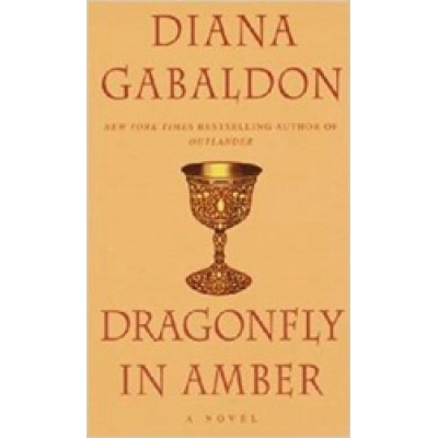 Dragonfly in Amber