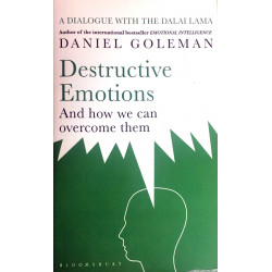Destructive Emotions (Уценка)