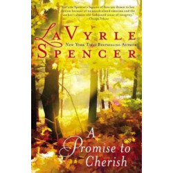 A Promise to Cherish (Уценка)