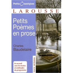 Petits Poemes en prose