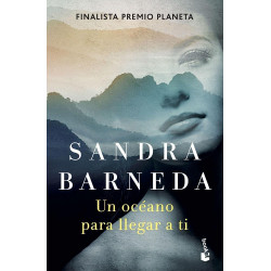Un océano para llegar a ti: Finalista Premio Planeta 2020