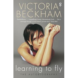 Learning to Fly