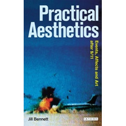 Practical Aesthetics: Events, Affects and Art After 9/11 (Уценка)
