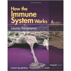 How the Immune System Works