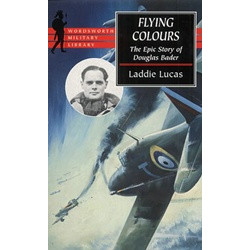 Flying Colours (Уценка)