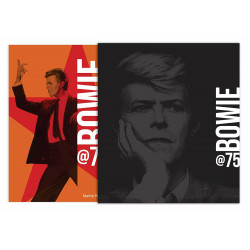 Bowie at 75 The Unofficial Illustrated History