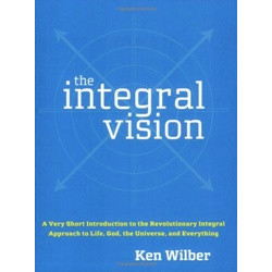 The Integral Vision
