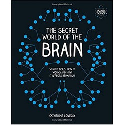 The Secret World of the Brain
