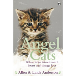 Angel Cats (Уценка)