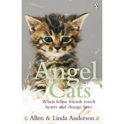 Angel Cats (Уценка)