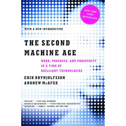 The Second Machine Age