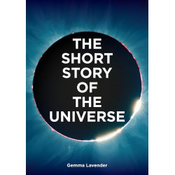The Short Story of the Universe