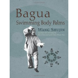 Bagua Swimming Body Palms