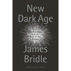 New Dark Age. Technology and the End of the Future