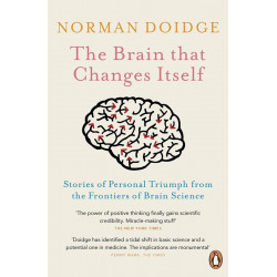 The Brain That Changes Itself