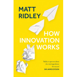 How Innovation Works: Serendipity, Energy and the Saving of Time