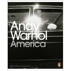 America (Уценка)