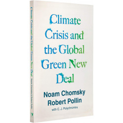 Climate Crisis and the Global Green New Deal