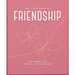 The Little Book of Friendship: For when life gets a little tough