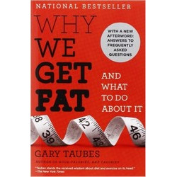 Why We Get Fat